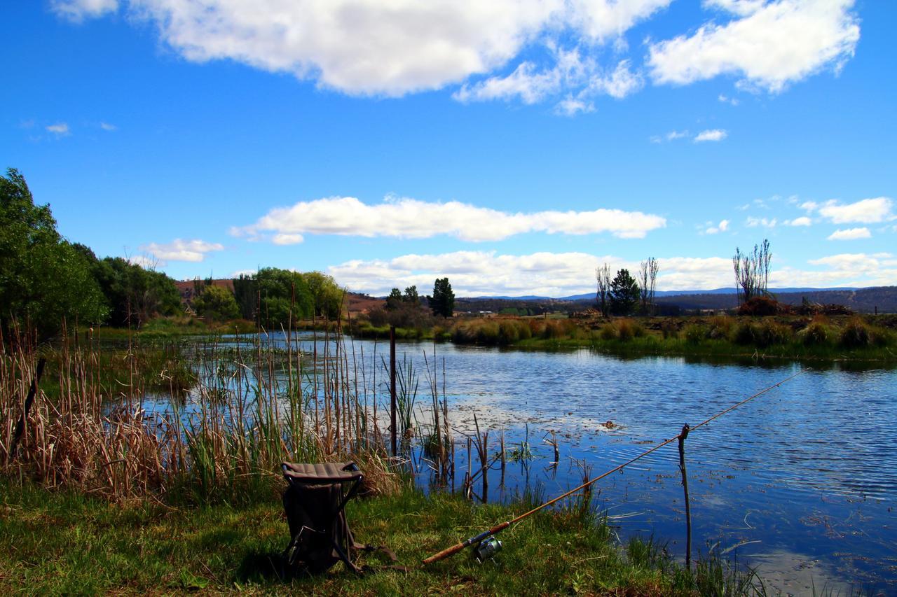 Riverview At Ross Bagian luar foto